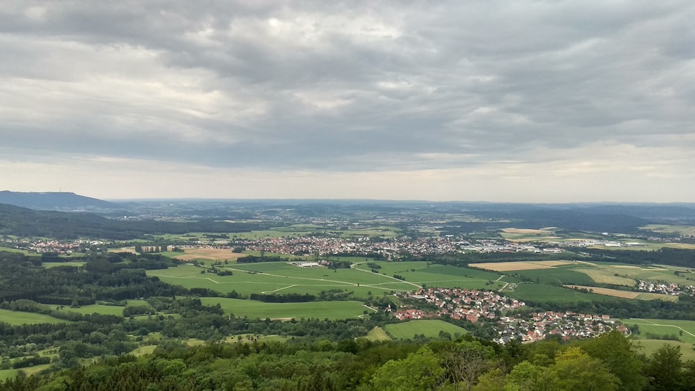 aerial photography of green trees