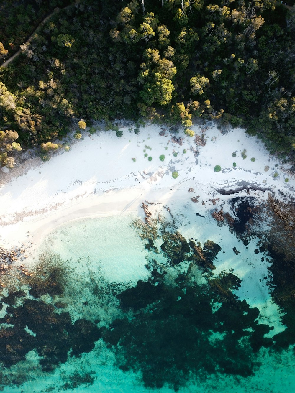 aerial view of empty coast