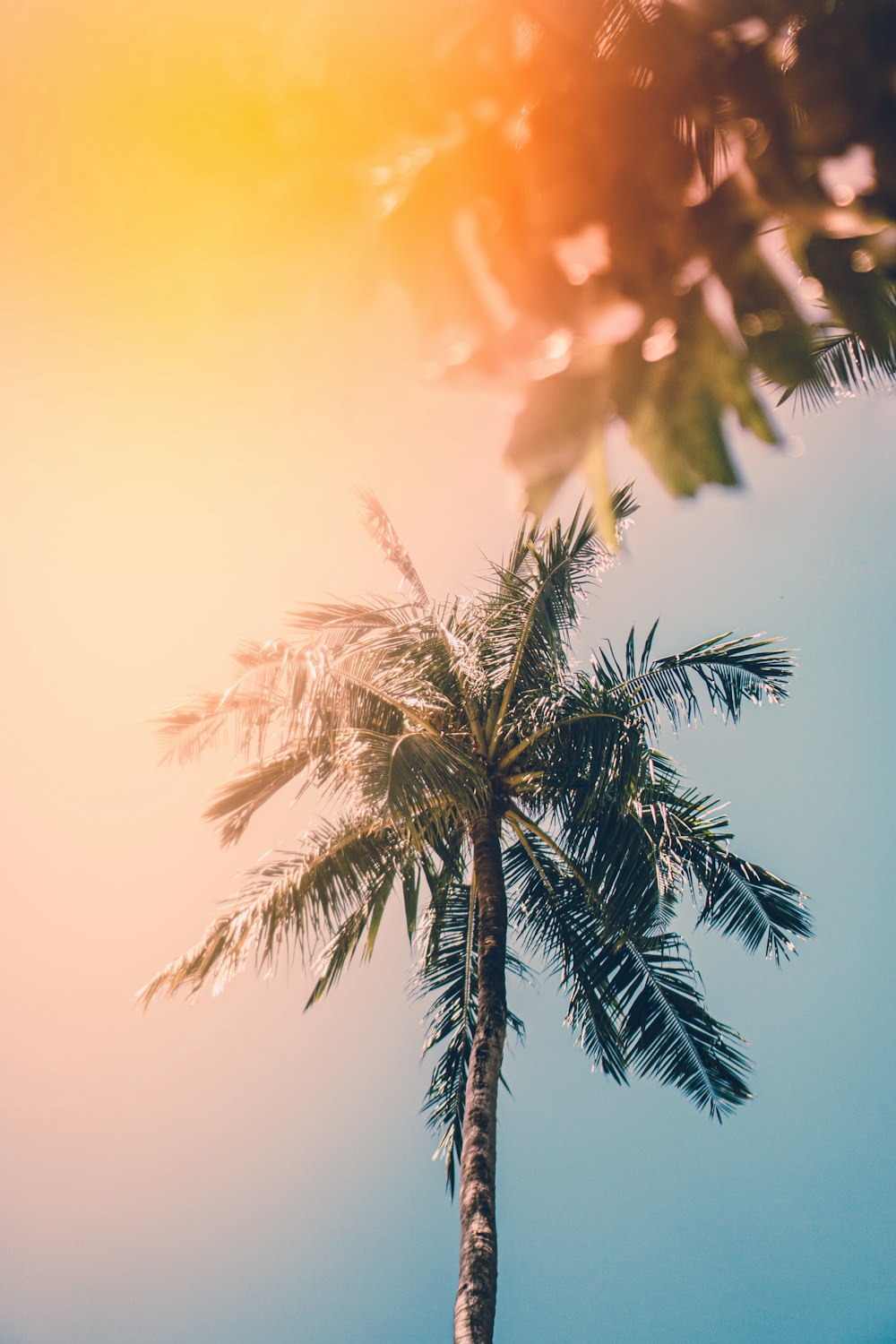 Summer Wallpapers: Free HD Download [500+ HQ]