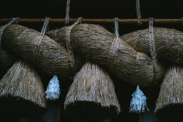 Suwa Travel Guide: Discover Hidden Gems and Local Culture