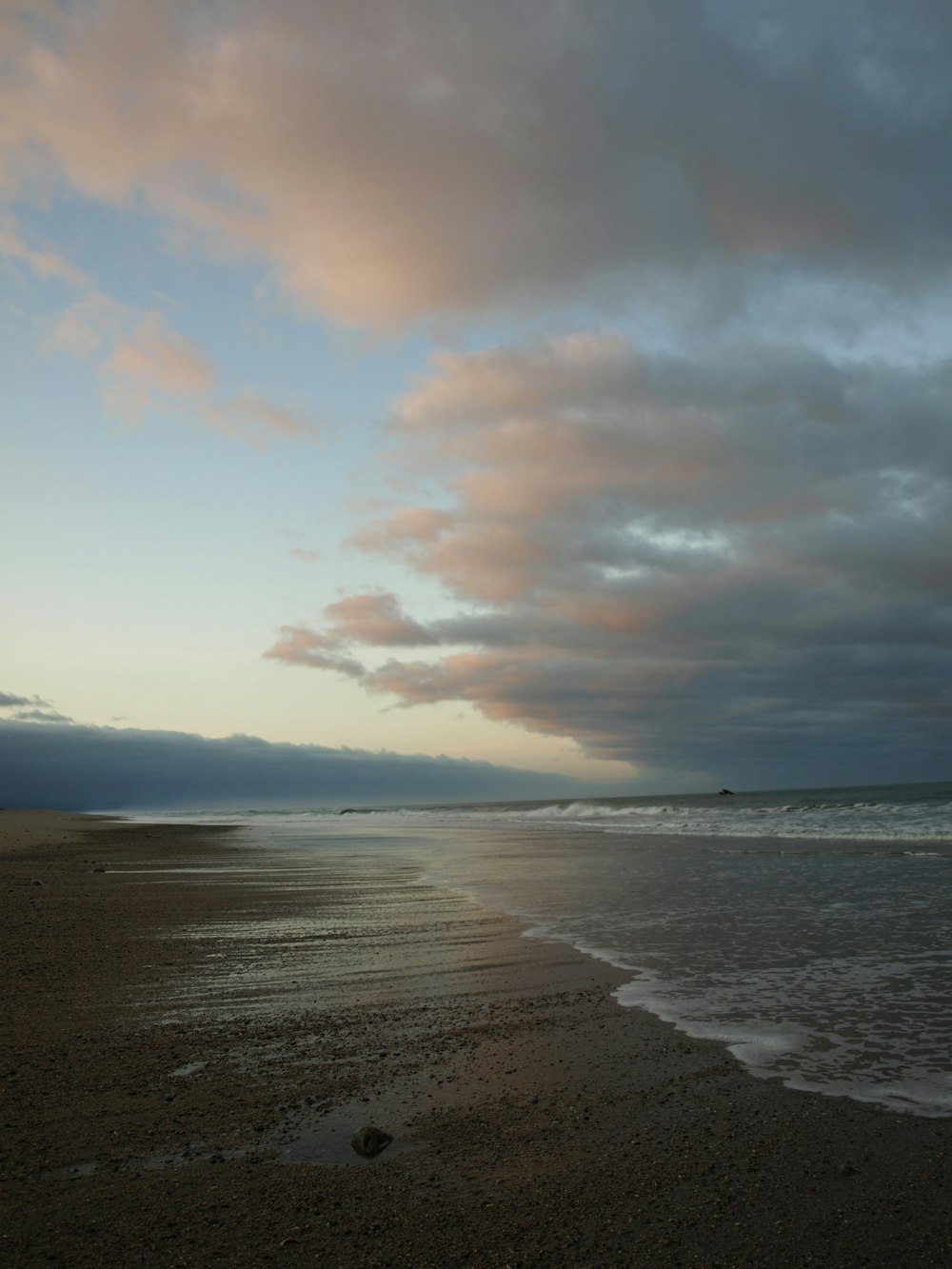 shoreline during daytime