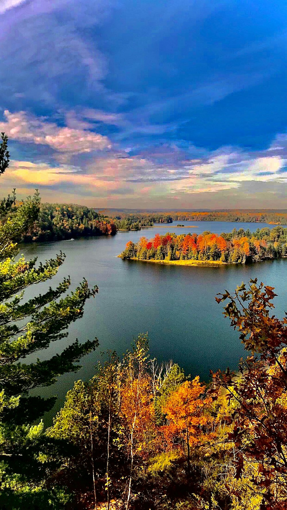 tree islands during day