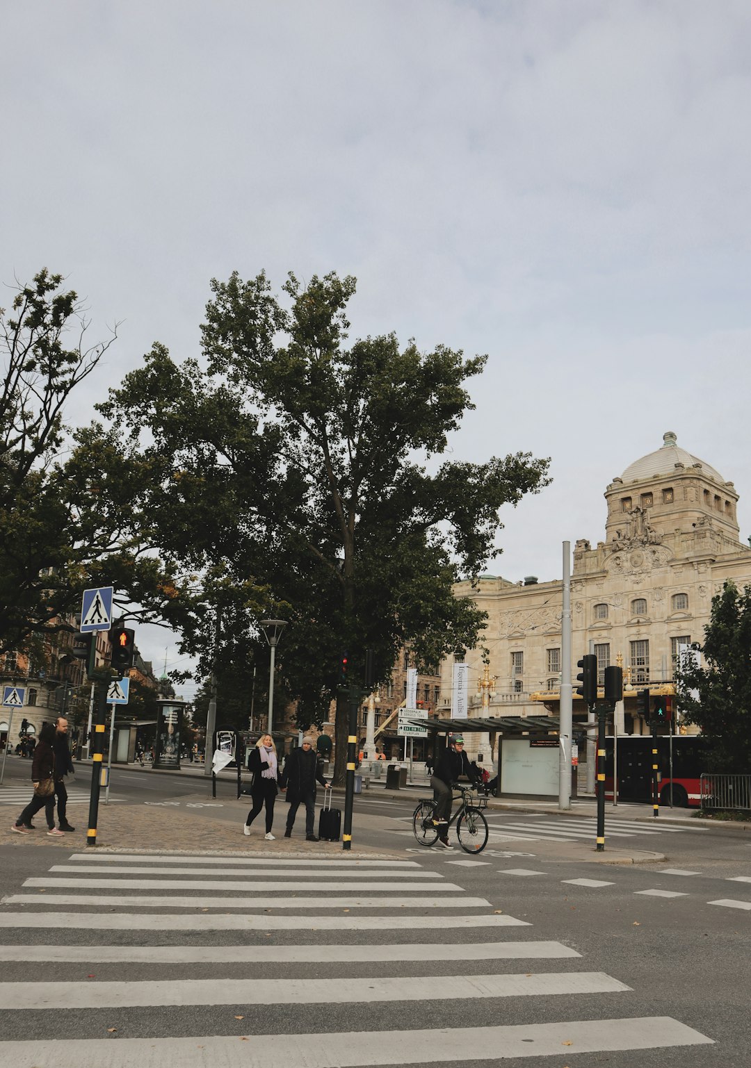 people walking on road near trees