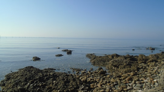 blue beach under clear blue sky in Durrës Albania