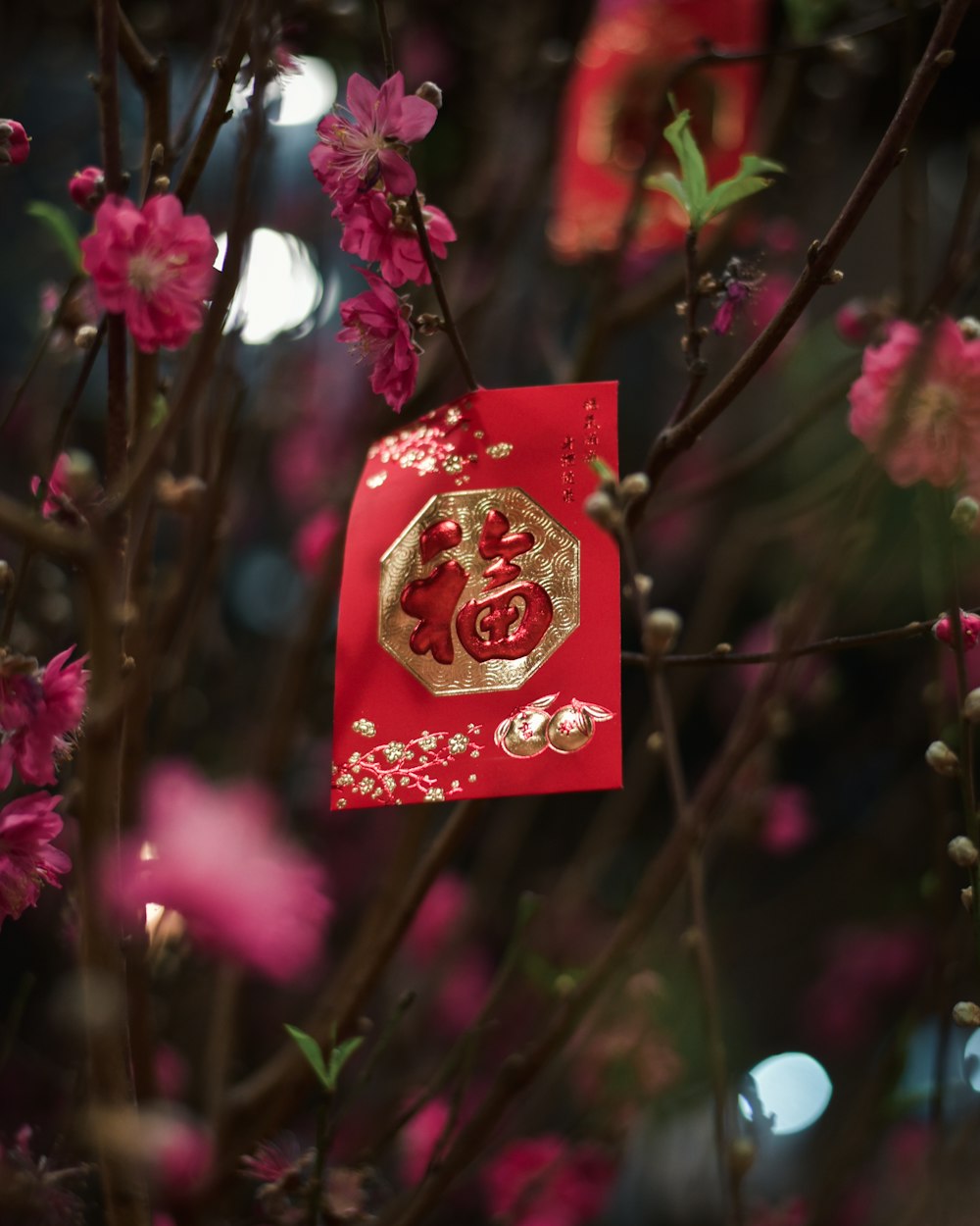 cartão de texto kanji vermelho