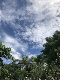 A vibrant tropical rainforest with local farmers planting trees together under a bright sky.