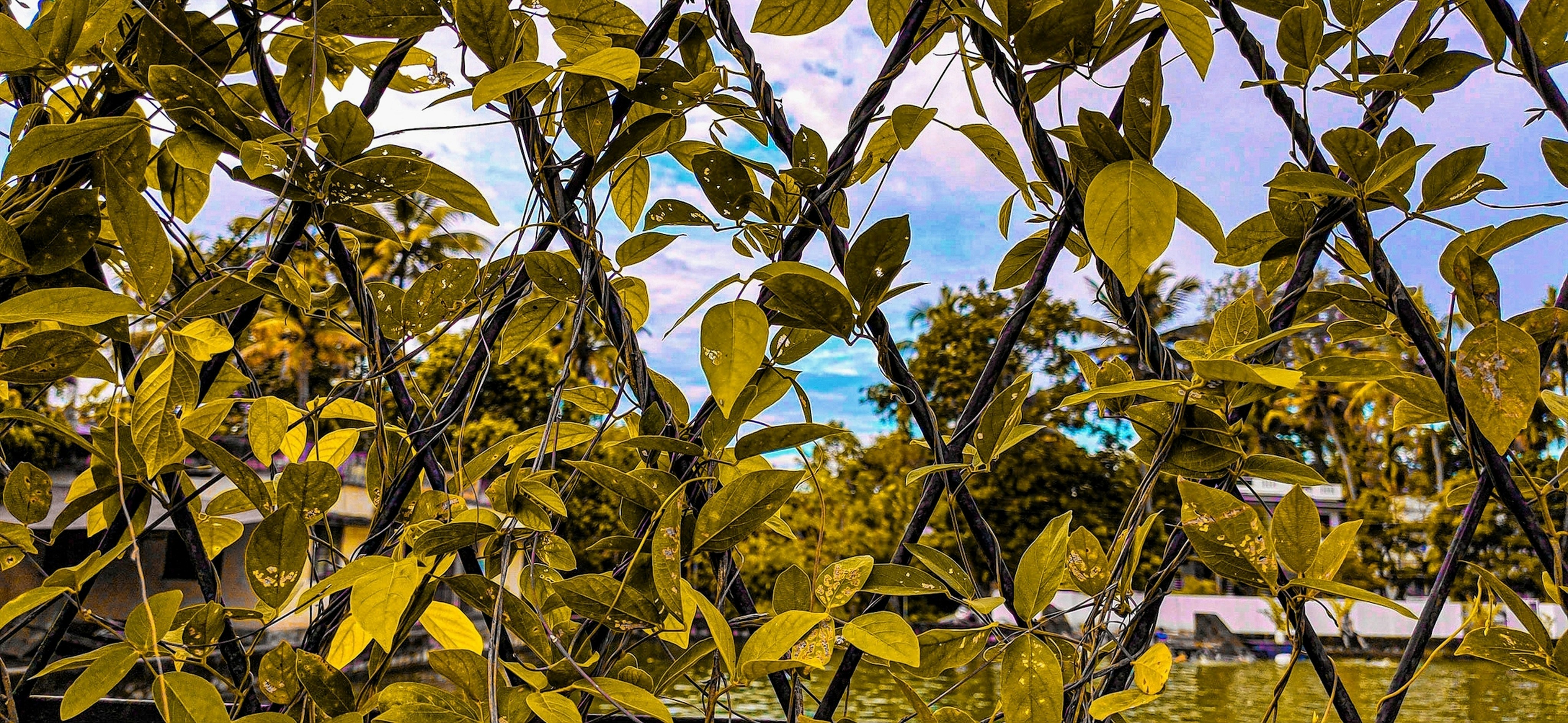 *   **[클릭 유도 주의] 당신의 뇌를 해킹하는 광고의 마법, 과학적 설득 전략 대공개!**