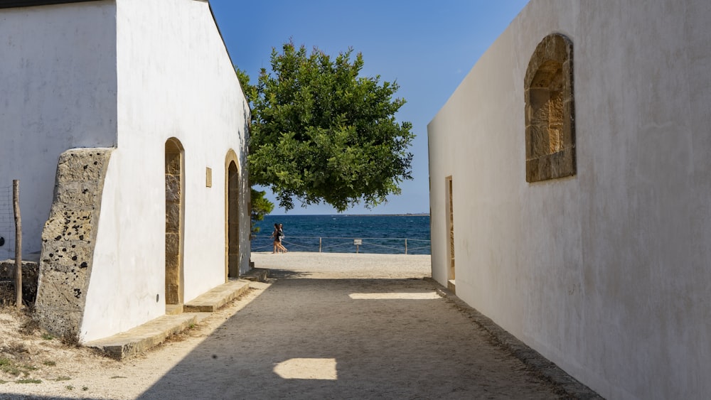 pathway between white concrete buildings