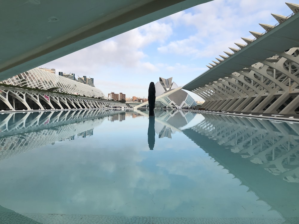 architectural photography of white and blue building