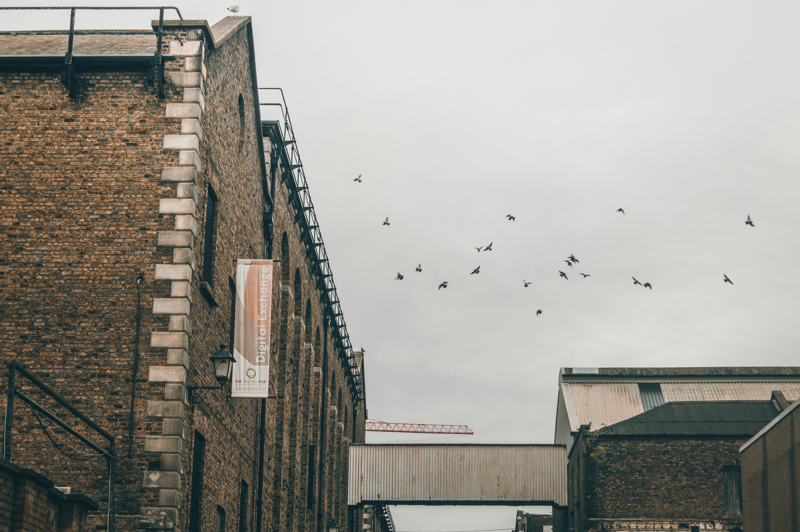 Photo by sergioandreleal