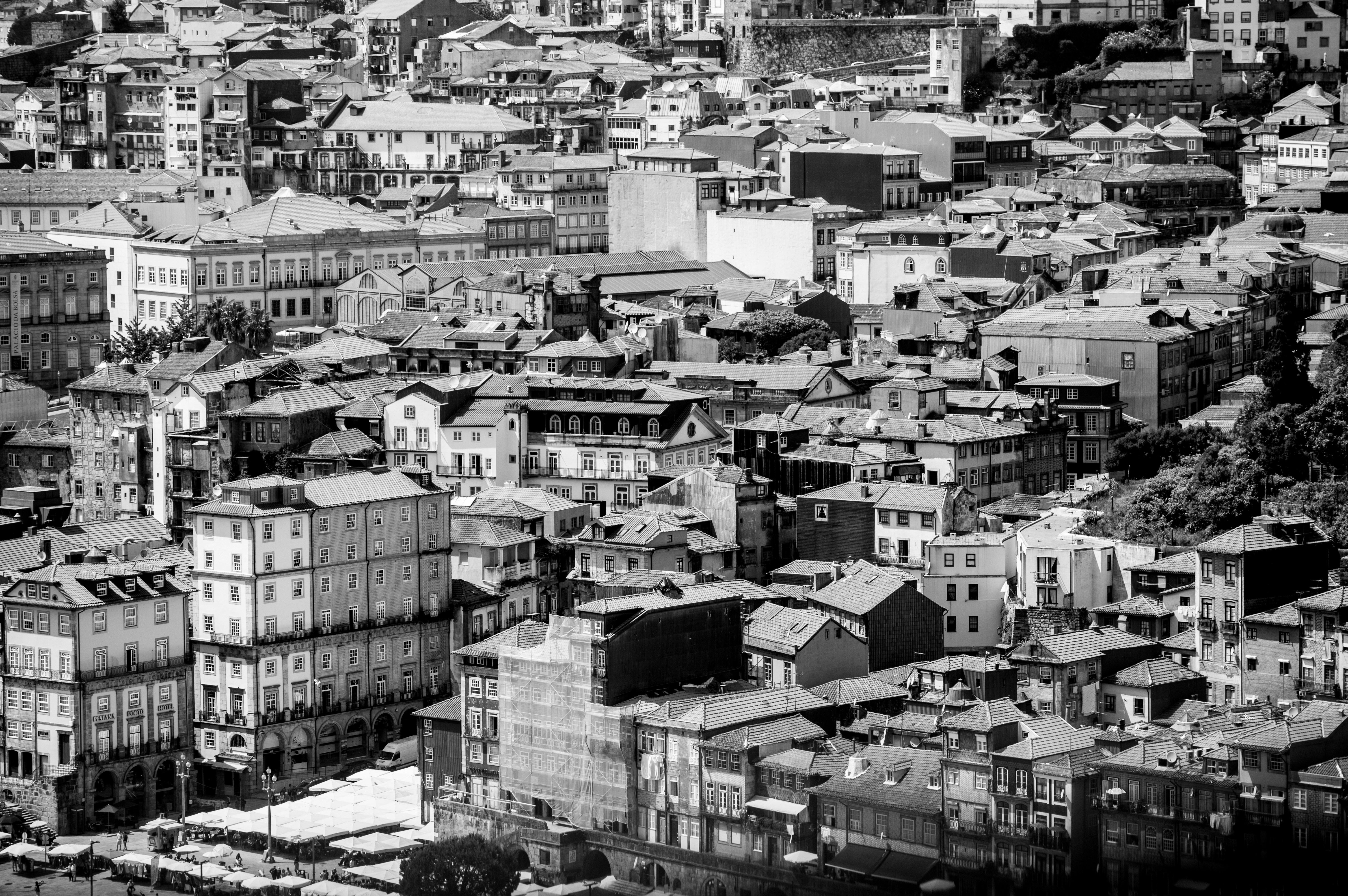 Photo by sergioandreleal