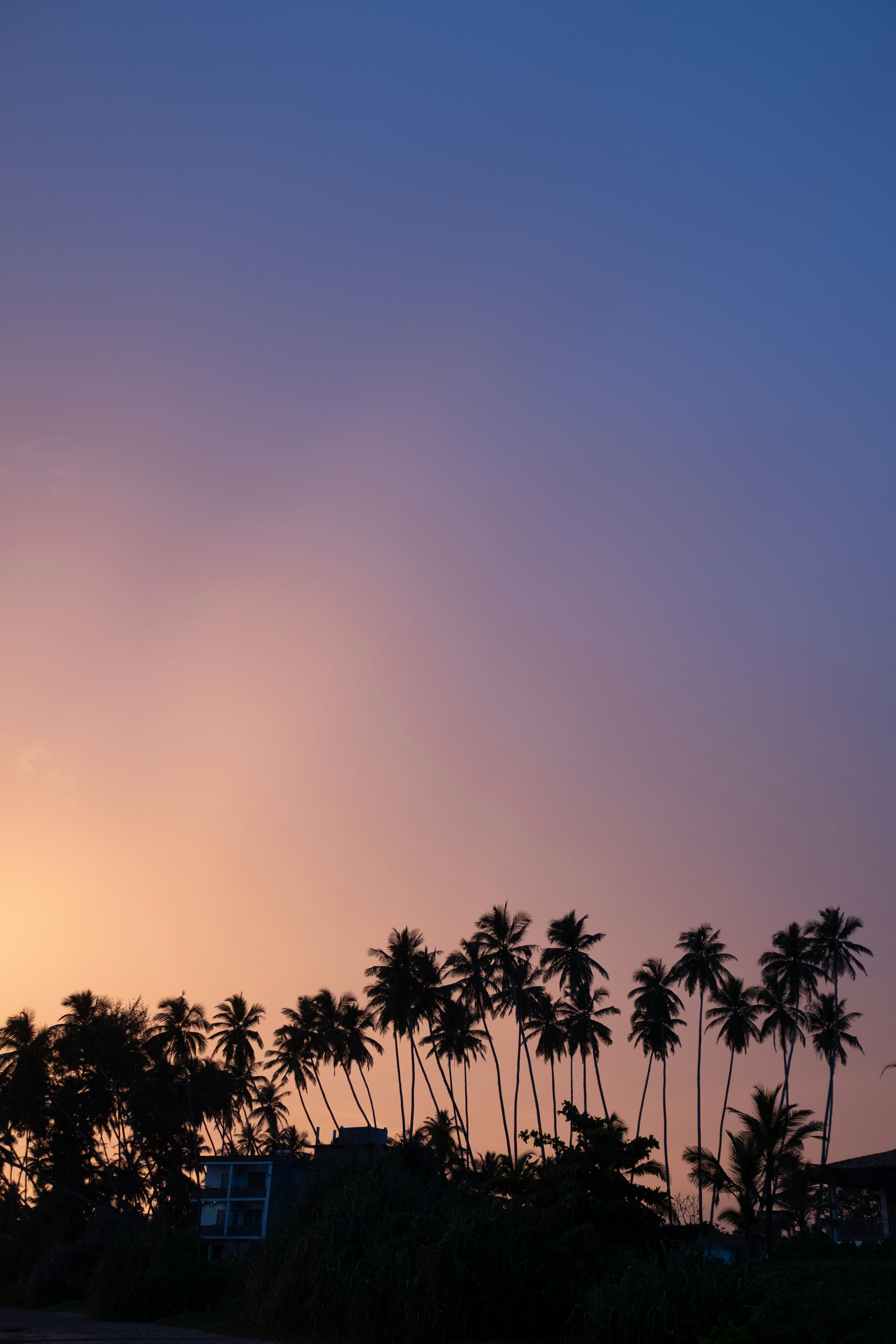 Mathyas Kurmann At Mathyaskurmann Unsplash Photo Community