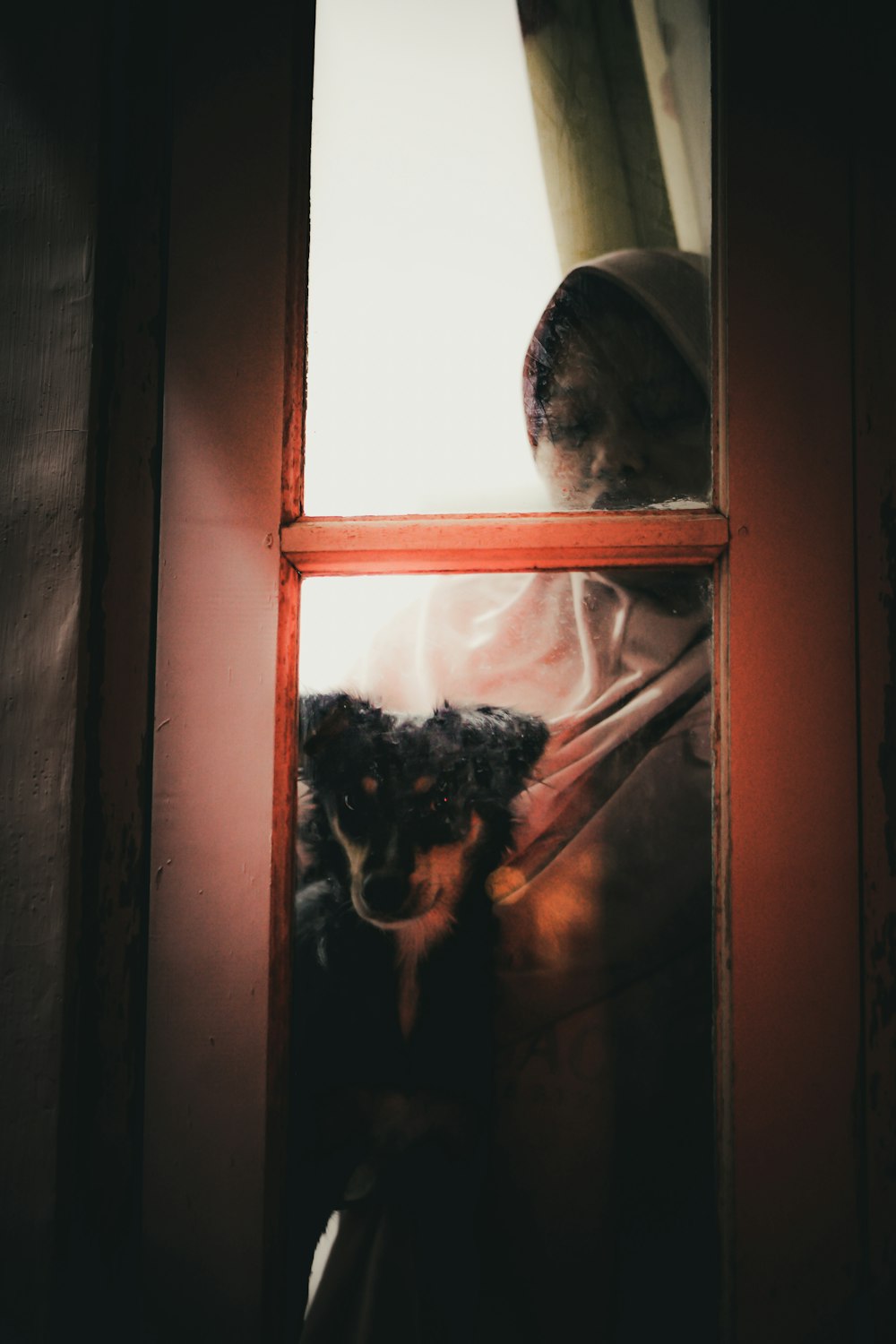 person standing while holding black and white dog near closed door