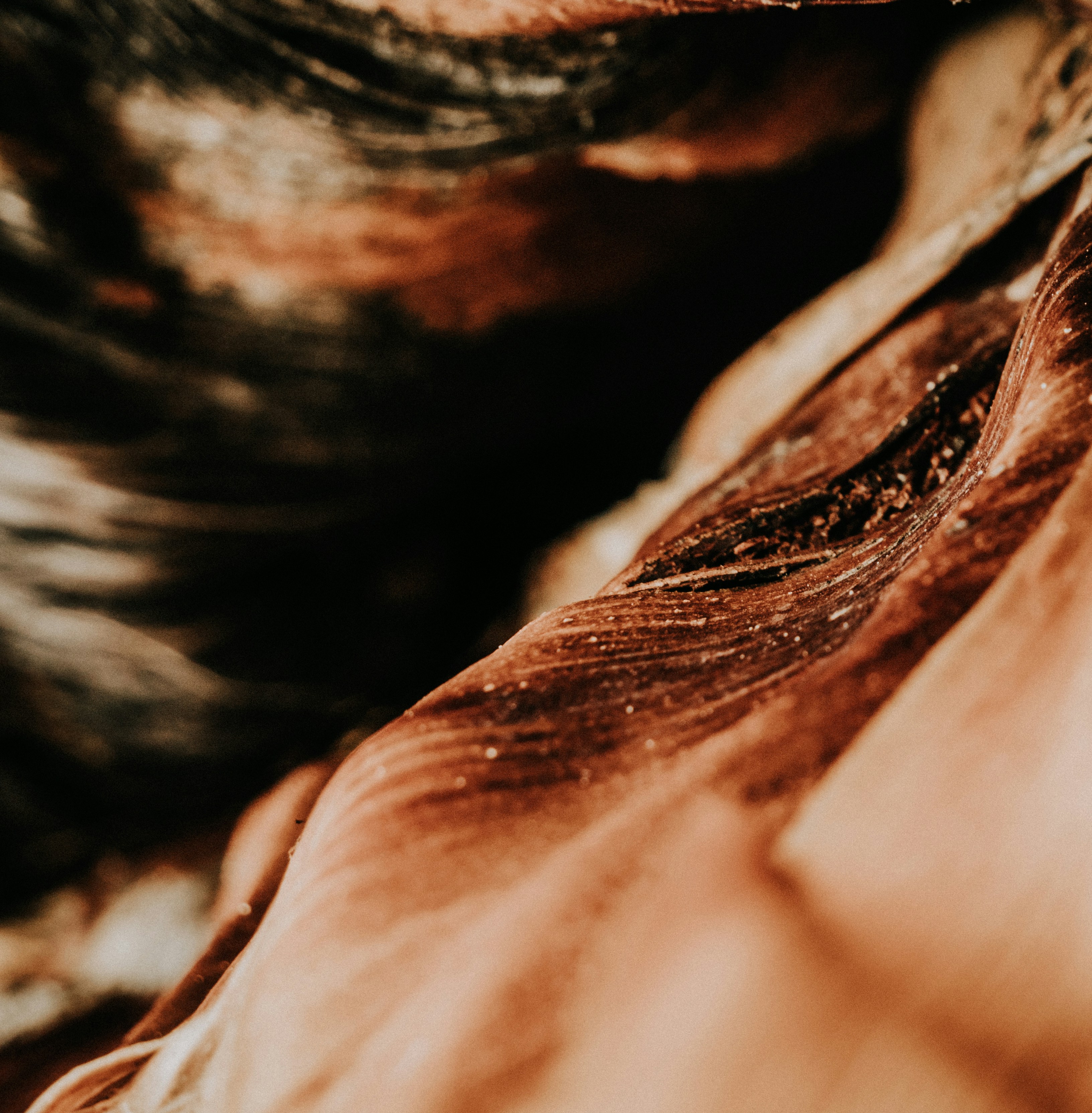 Photo by robertogamito