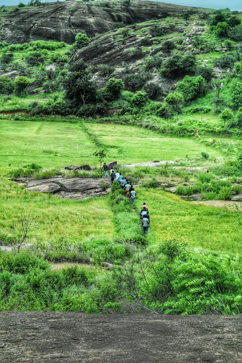 people hiking near hills