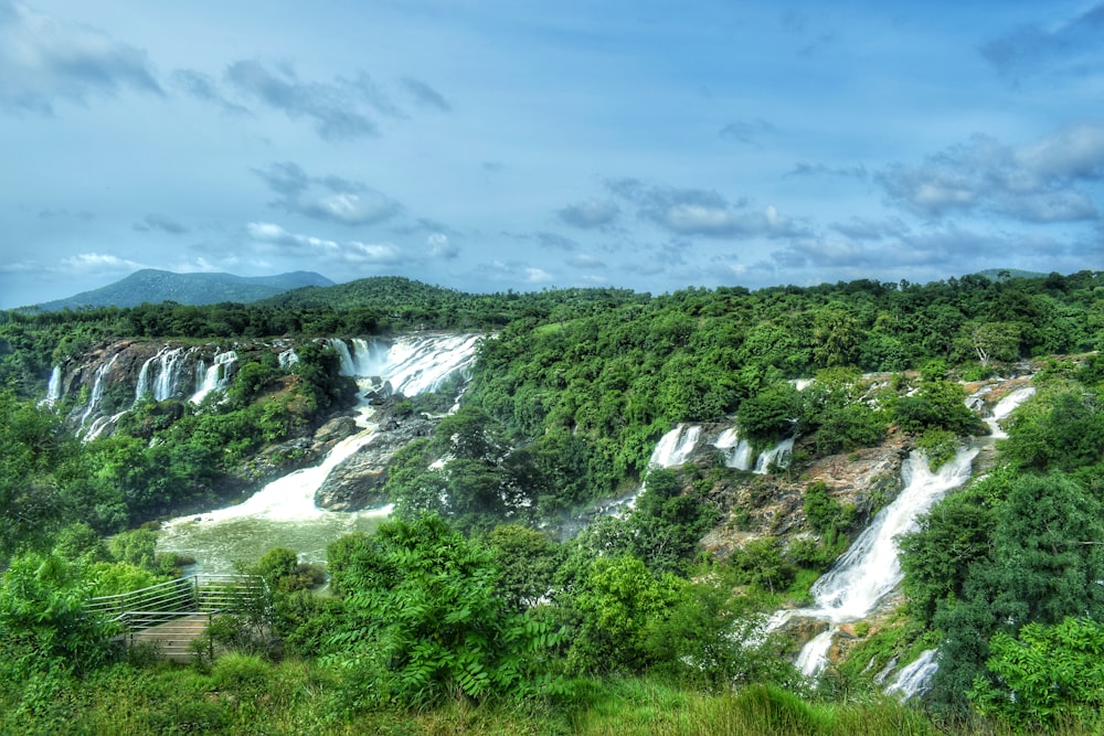 green trees near waterfalls