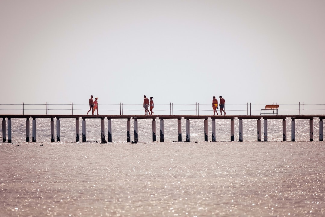 people waking on dock during day