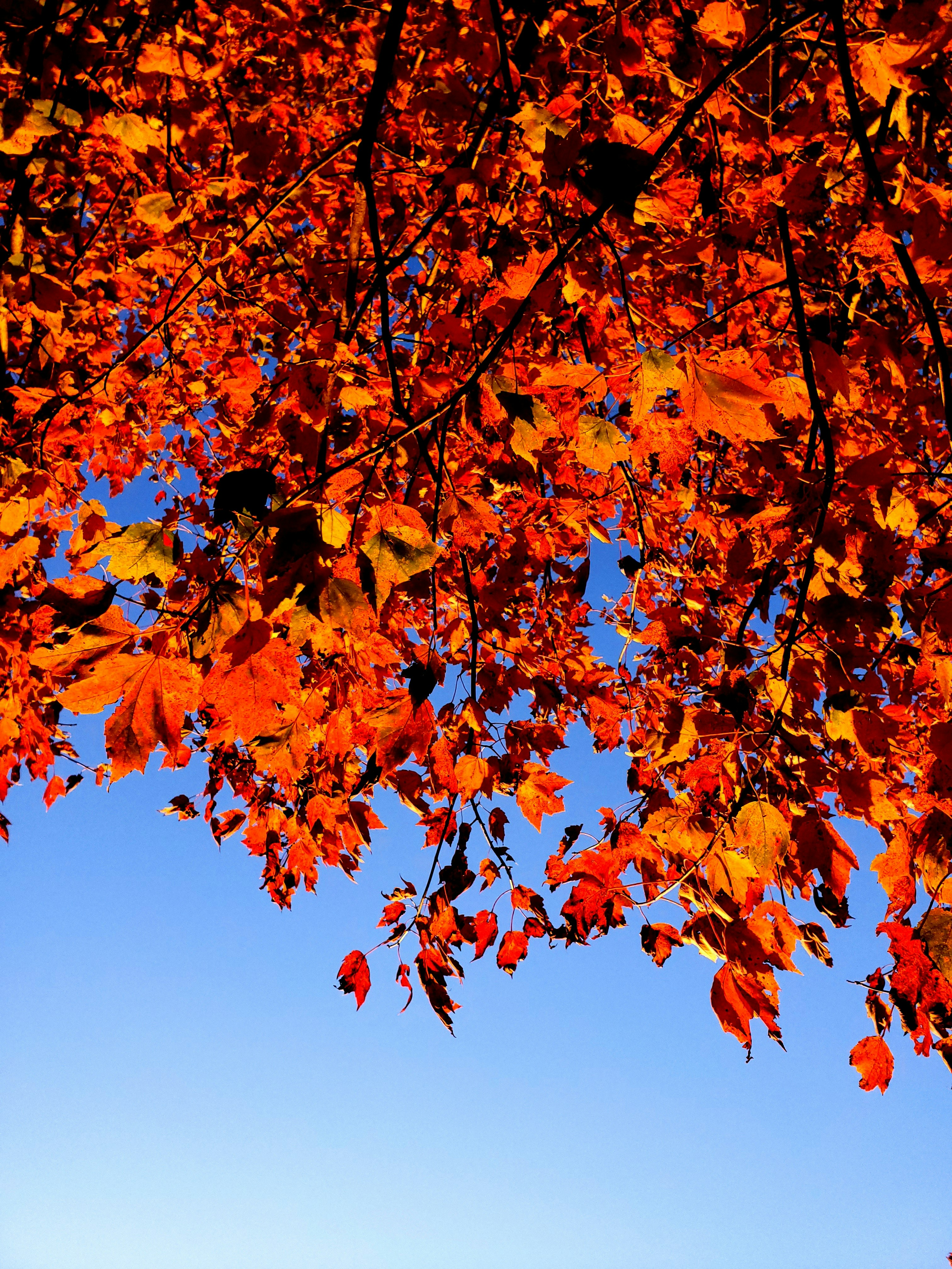 Photo by ghuffmanphotography