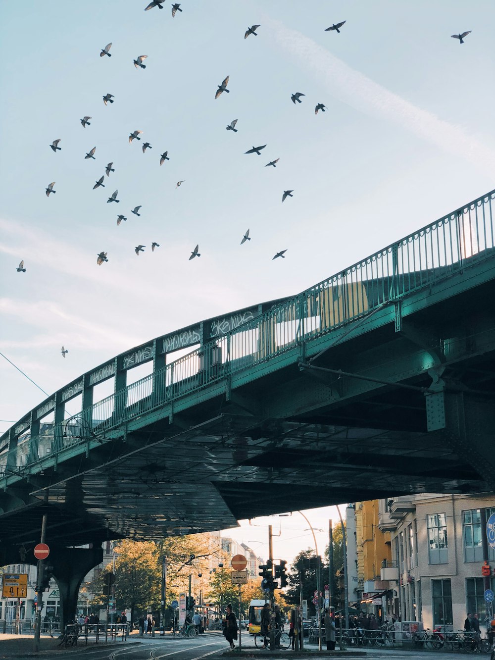 white concrete bridge