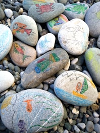 Smooth stones with colorful drawings of various subjects, including fish, a crab, a person sailing, and abstract designs. The stones are surrounded by smaller pebbles, creating a textured background.