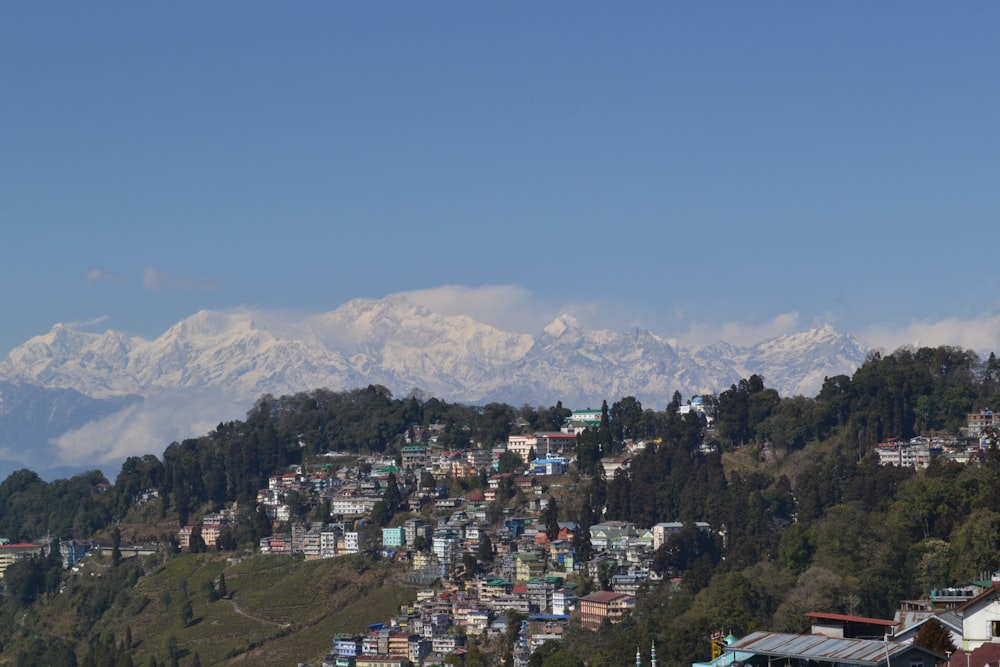 high angle photo of city