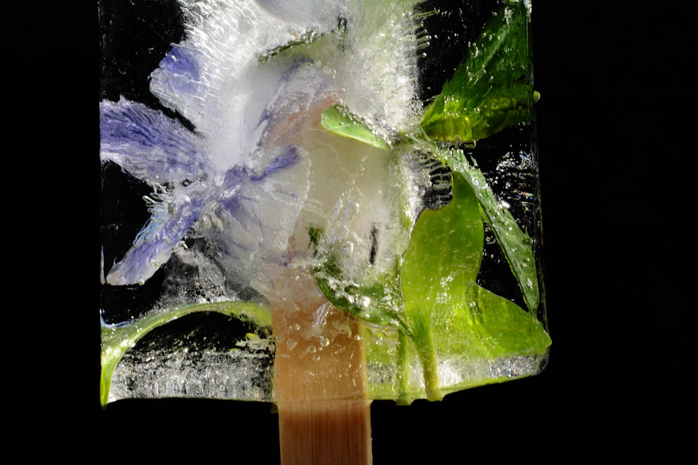 a popsicle with ice and flowers on it