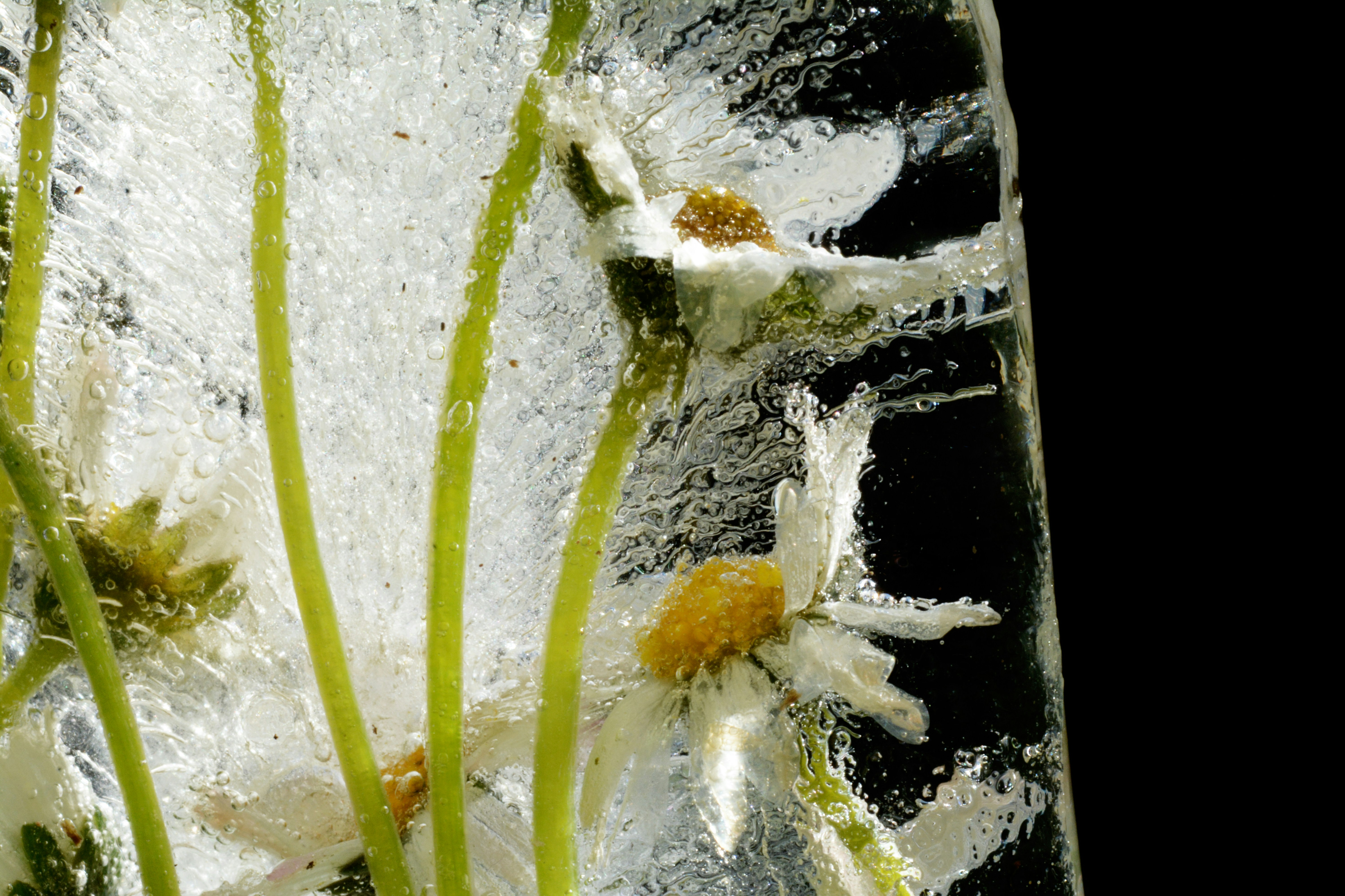 Frühlings-Eis  / spring ice