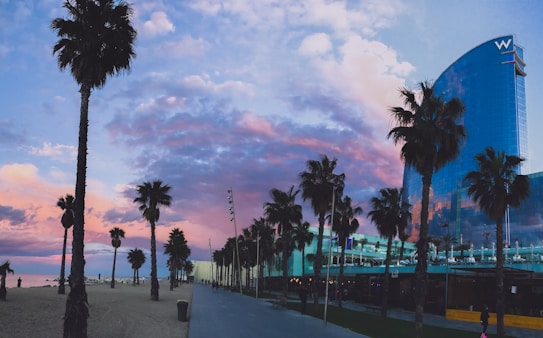 A scenic coastal view with tall palm trees lining a sandy beach. A modern, glassy hotel building with a distinctive curved shape stands prominently on the right. The sky features a stunning array of colors including pink, purple, and blue, suggesting either sunrise or sunset. A path along the beach is visible with a few people walking, accompanied by a distant ocean view.