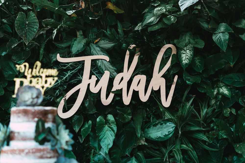 Judah signage on green leafed wall