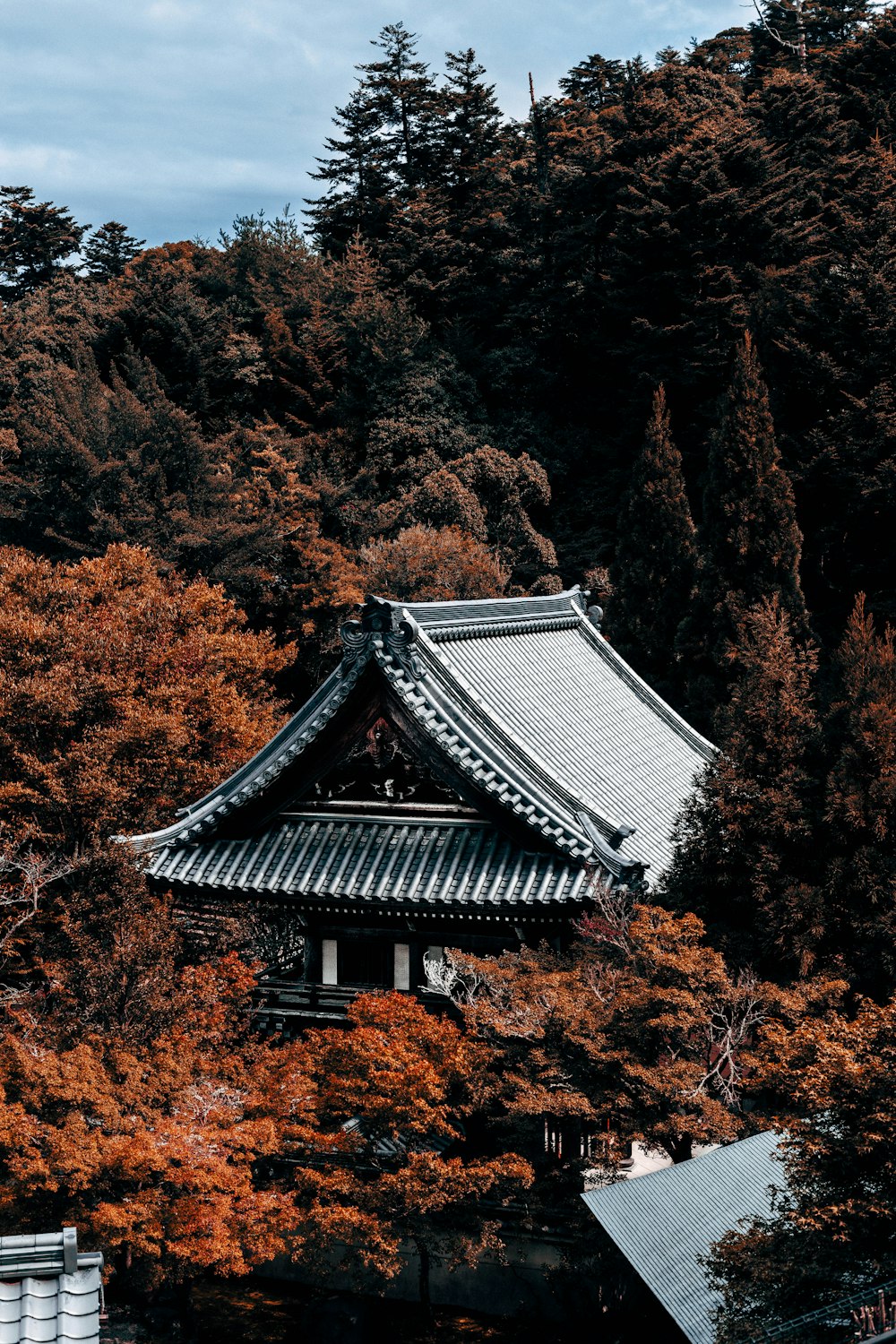 pagoda temple surrounded by trees