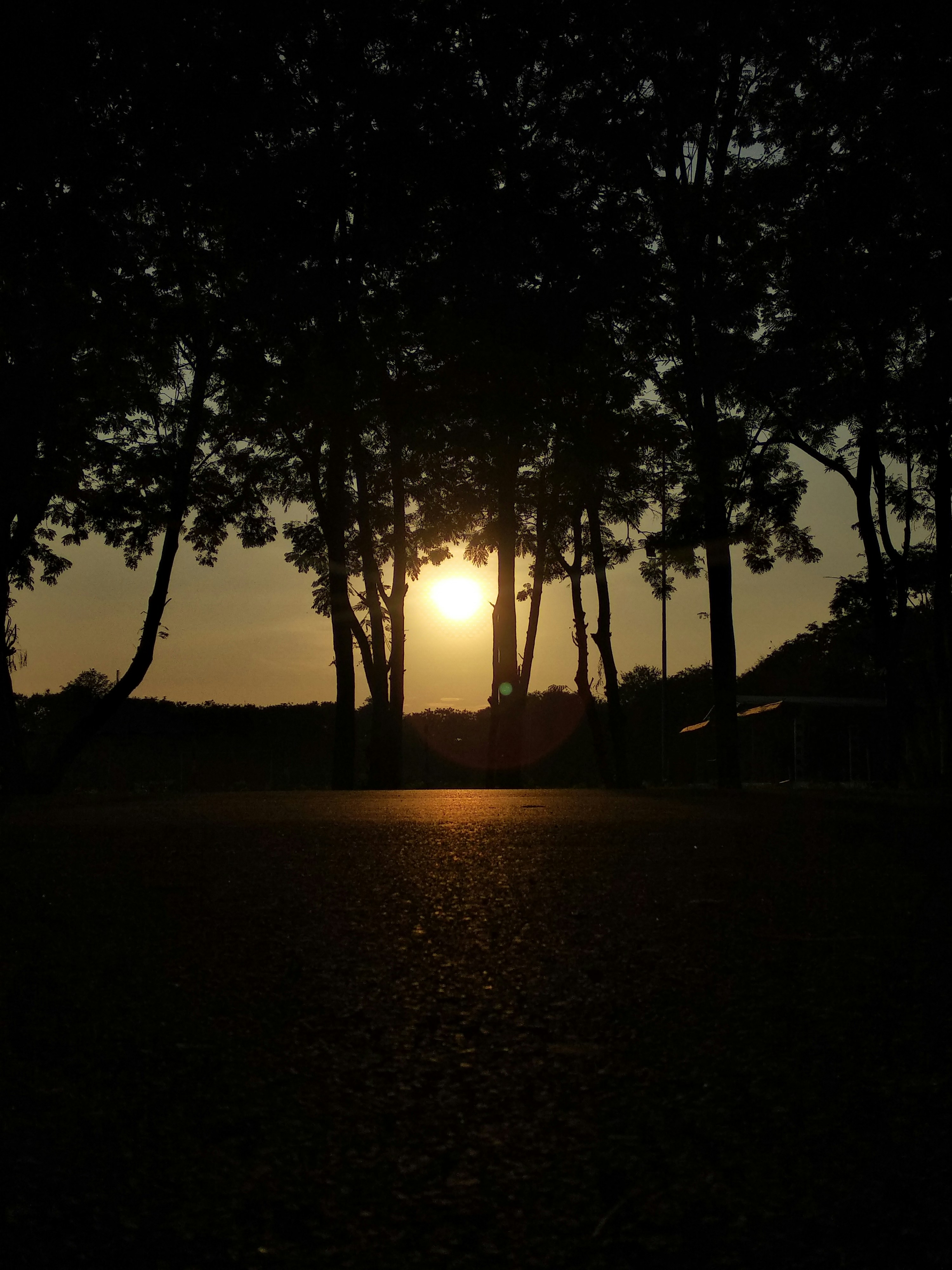 Photo by sanskarpethe