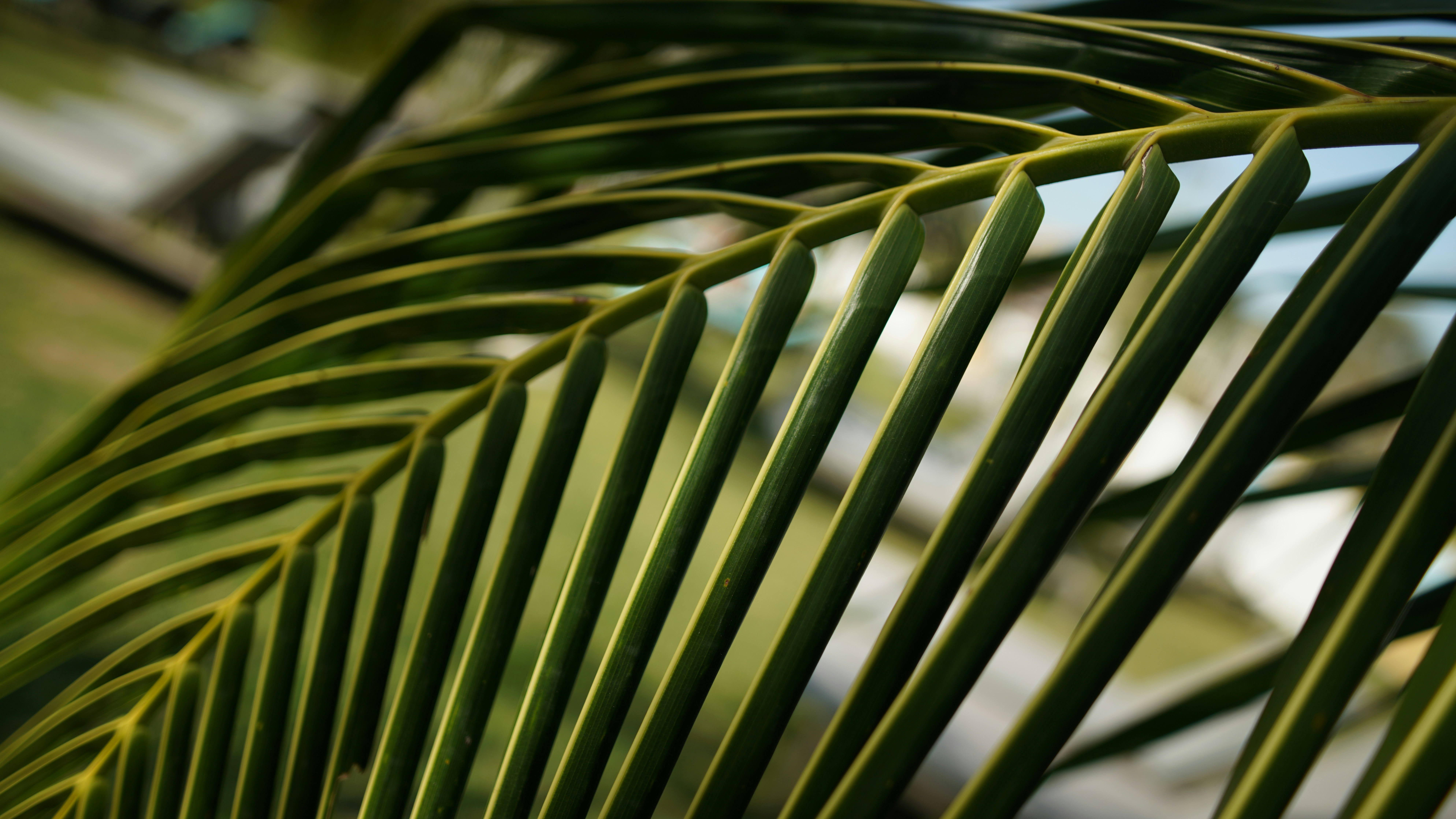 Photo by proskurovskiy