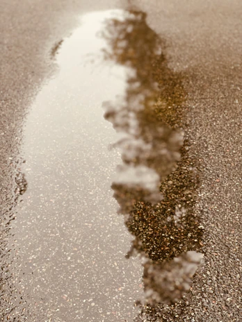 A clean, freshly sealed asphalt surface reflecting sunlight in a residential area.