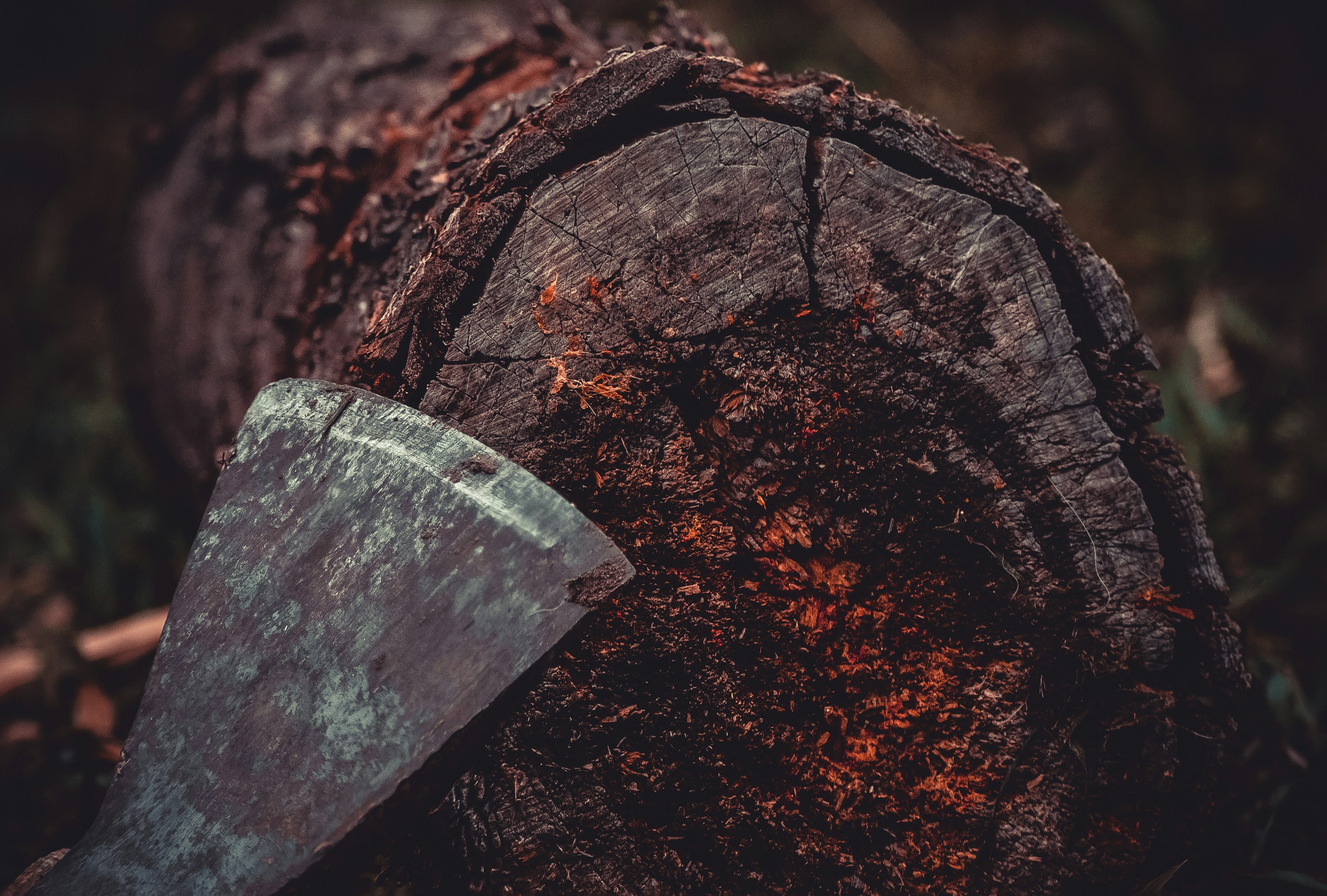 Photo by wladkiselev