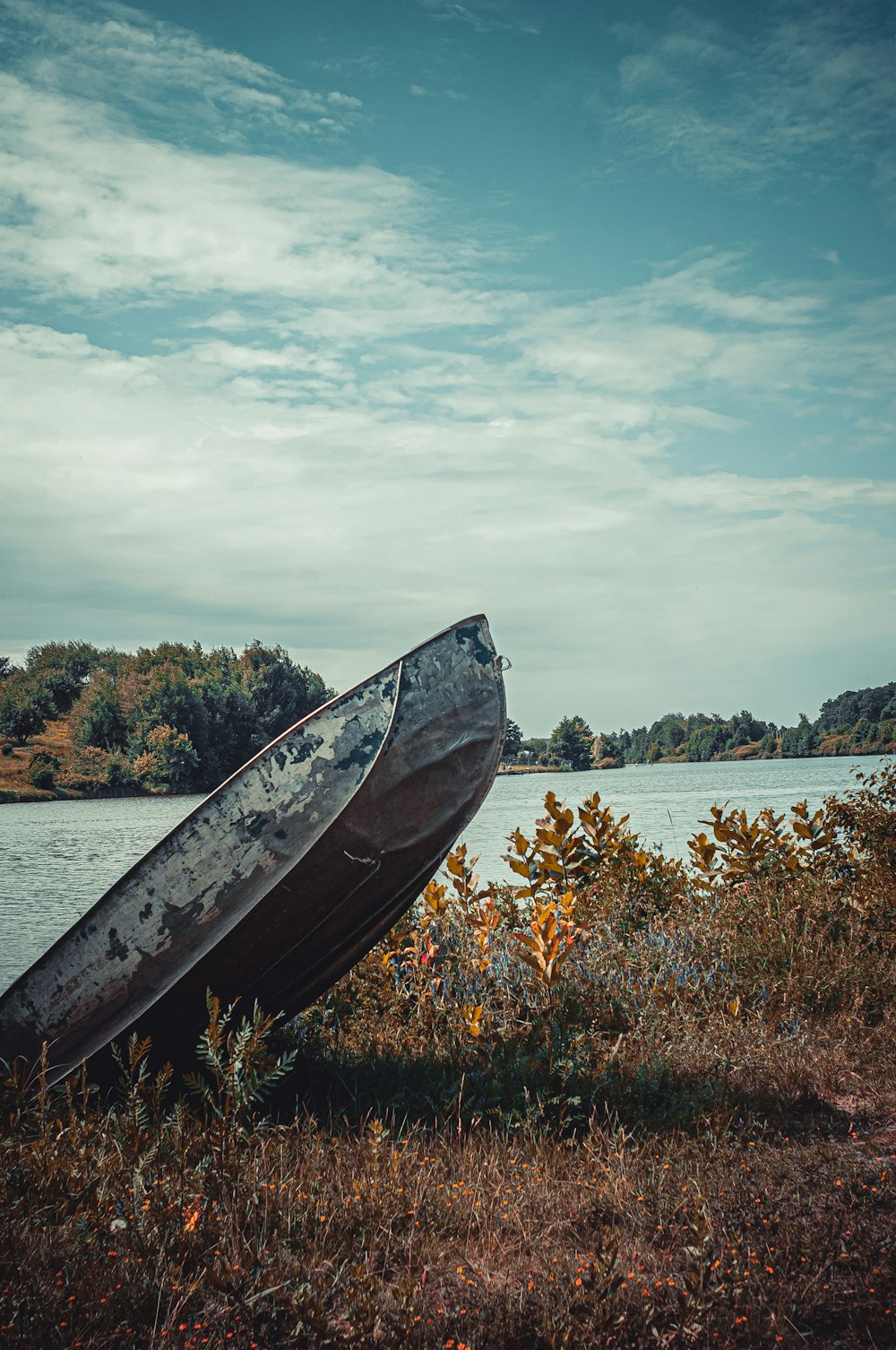 gray jon boat on plants near body of water