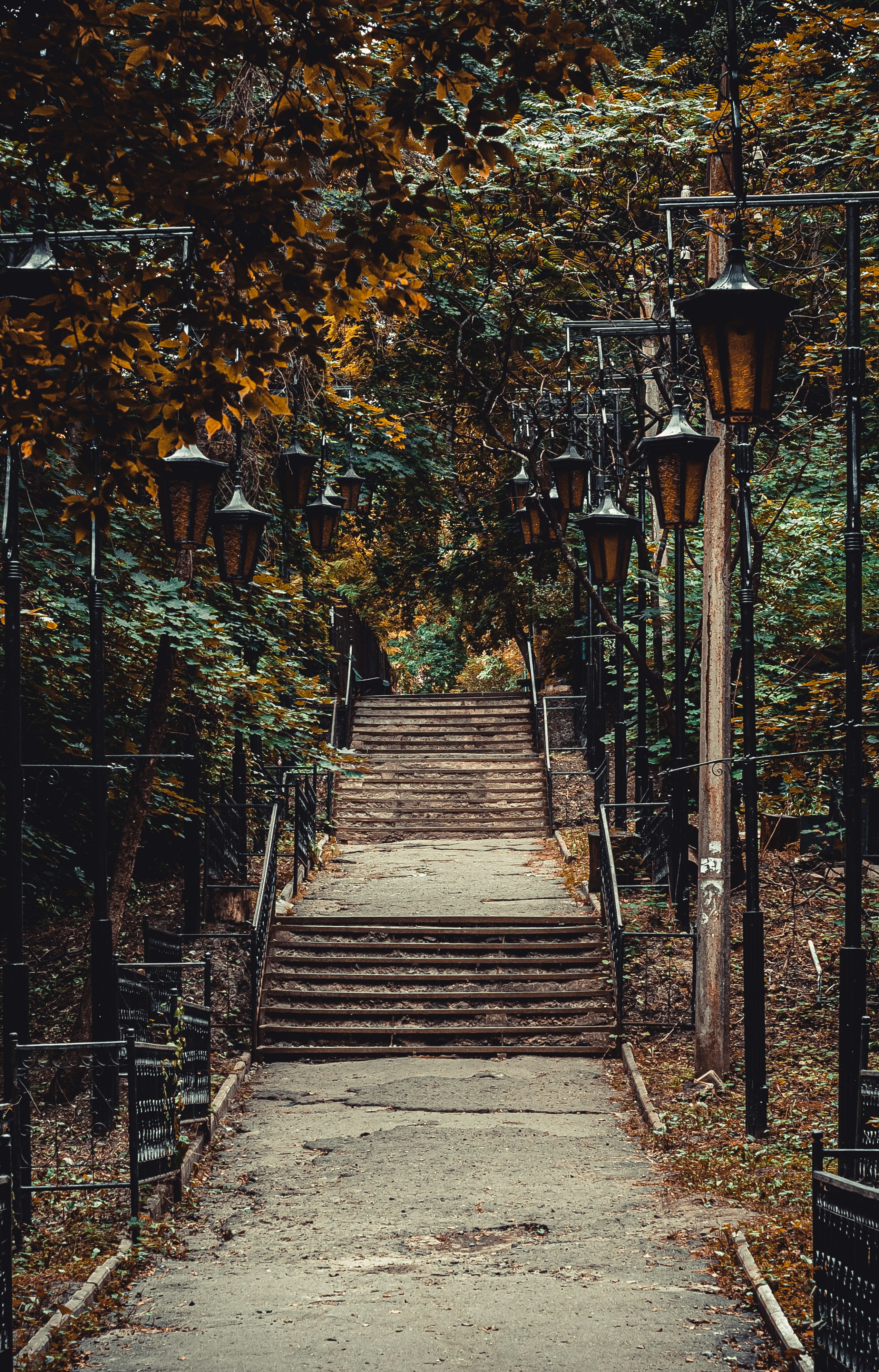 Photo by wladkiselev