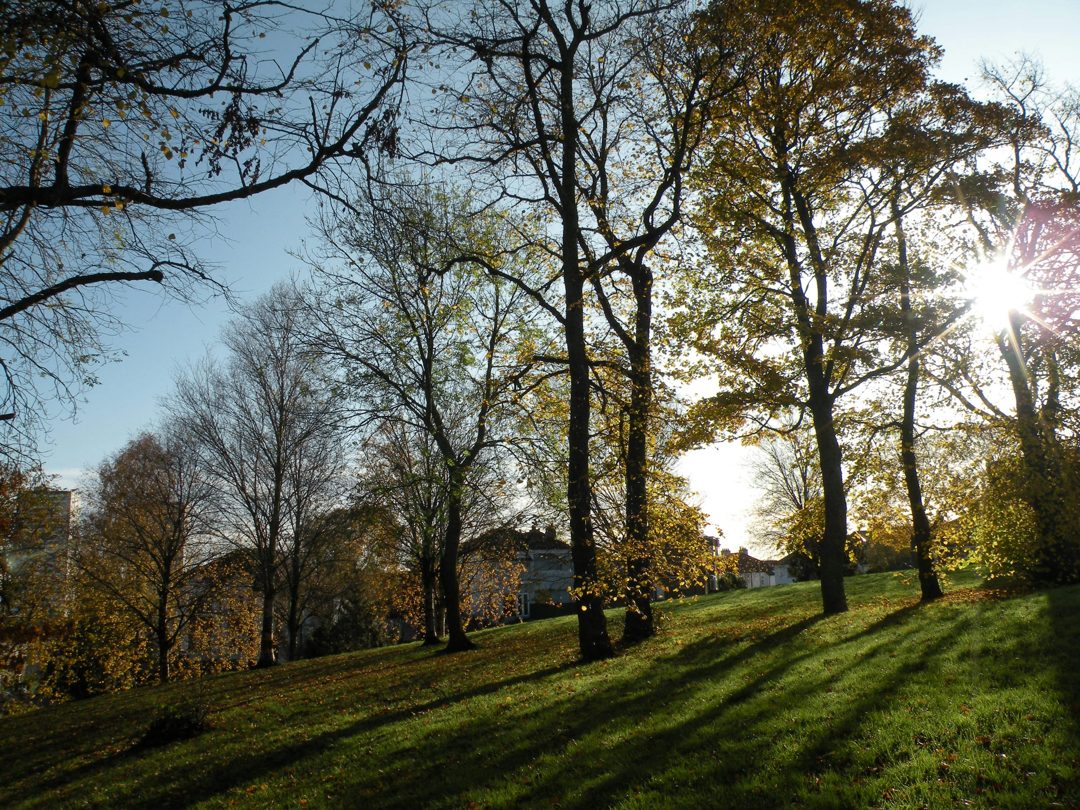 Photo by danielcostola