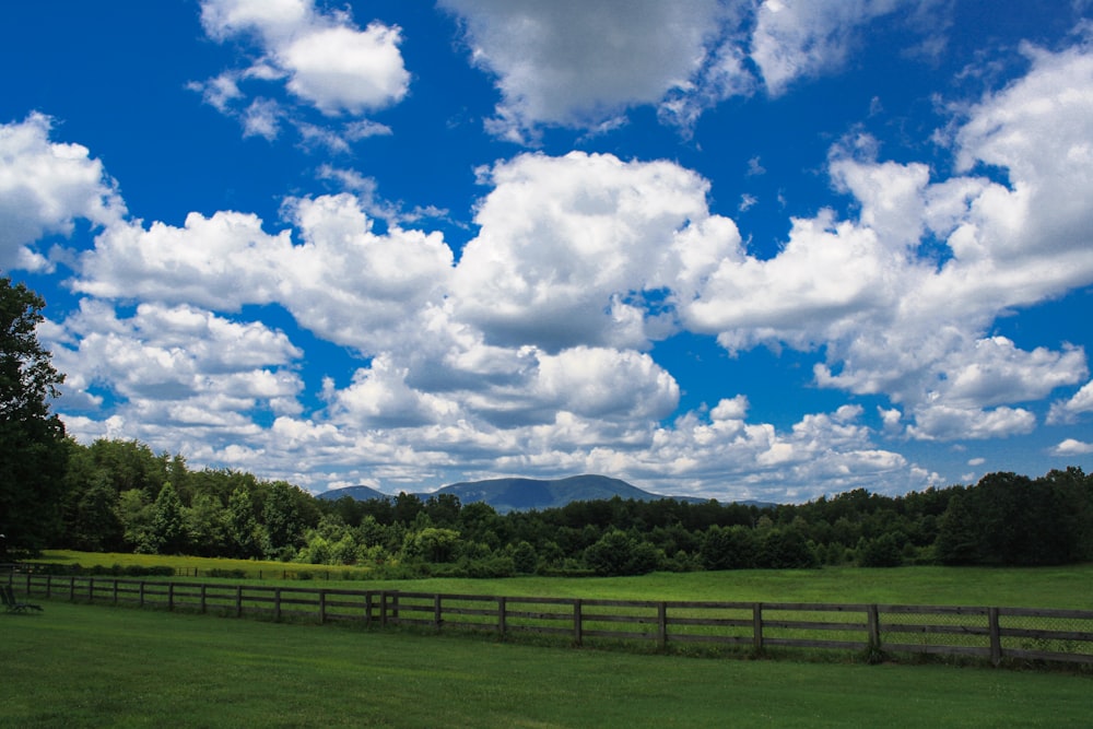 green trees and field on white clouds and blue sky