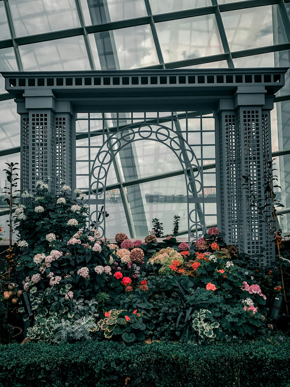 assorted-color flowers