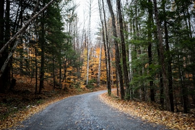 Masai Mara from above