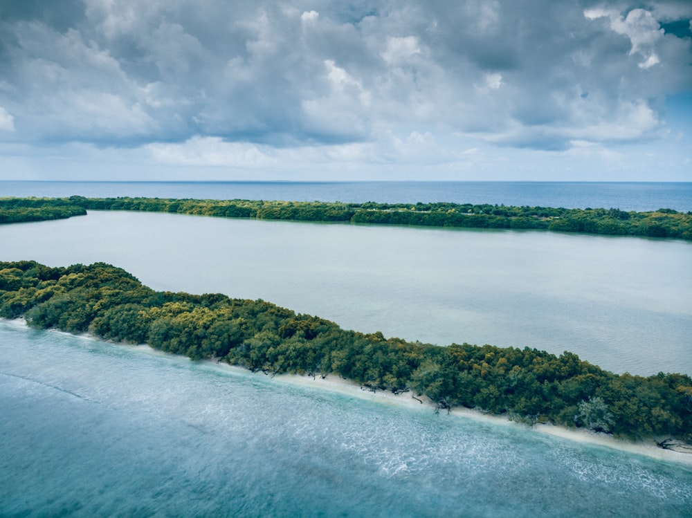 island with trees