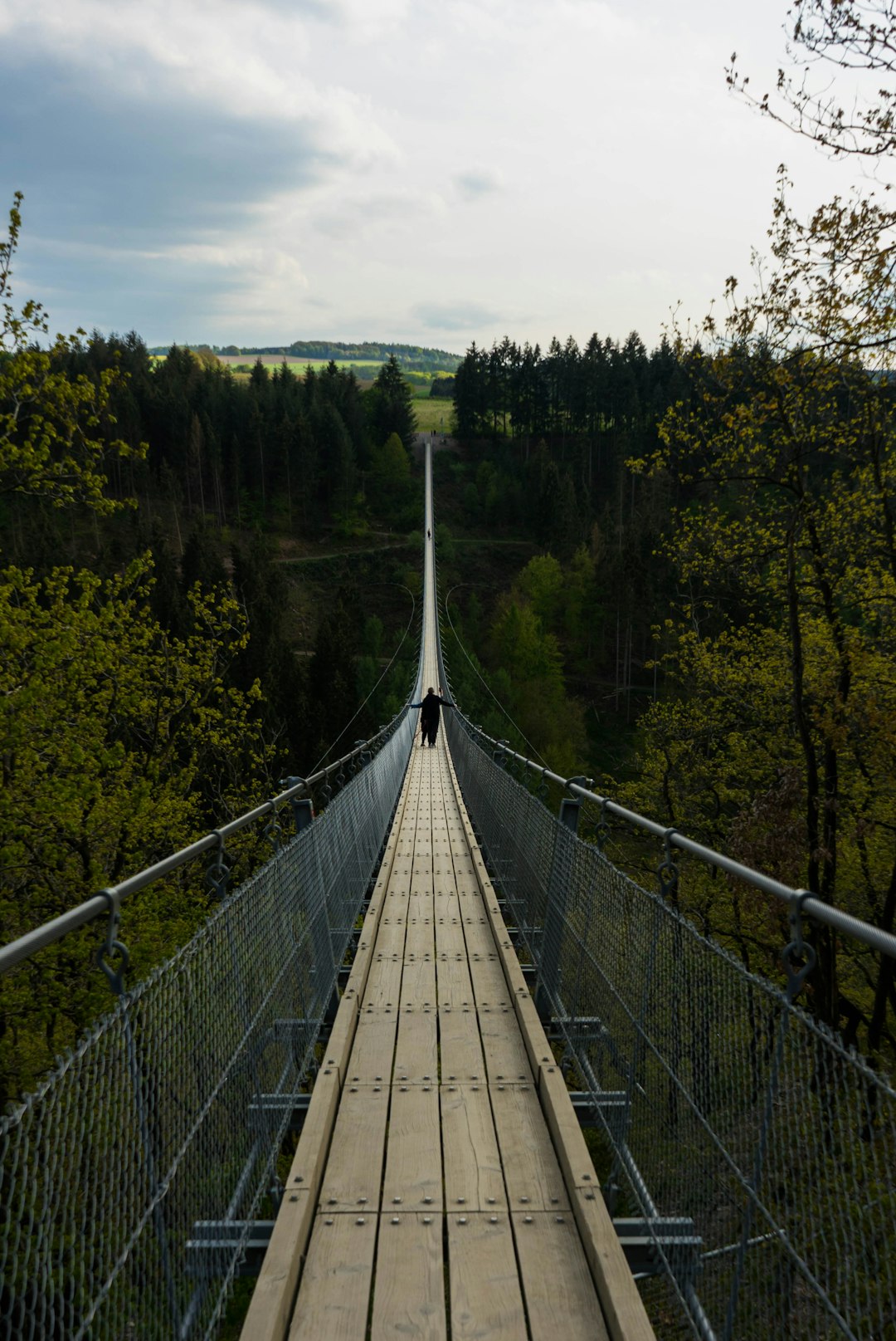 gray and brown hanging bridge