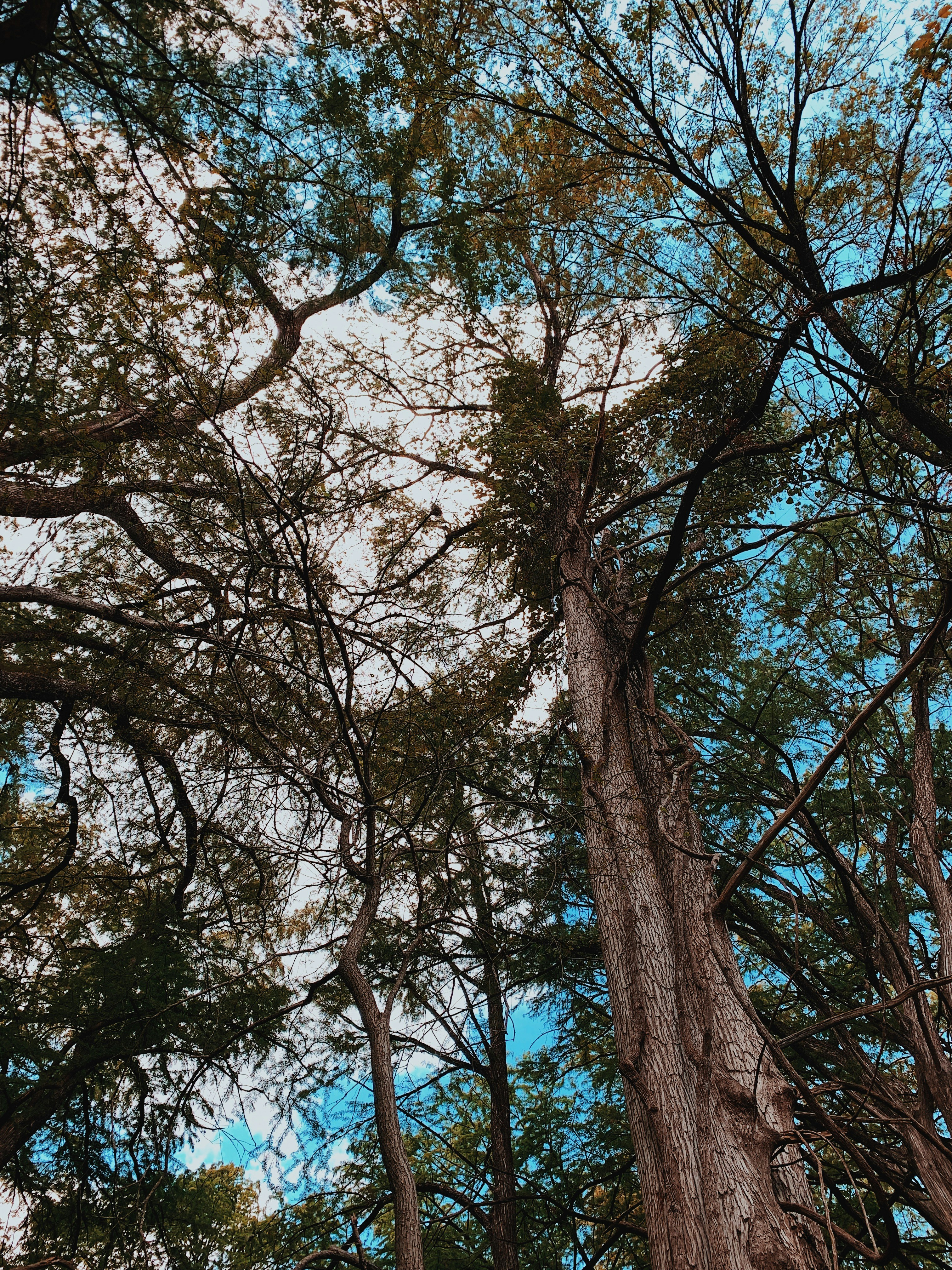 Photo by phillipgold