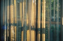 Sheer curtains softly filter the sunlight, casting gentle, elongated shadows. The sunlight creates a warm, serene ambiance that contrasts with the lush greenery visible outside.