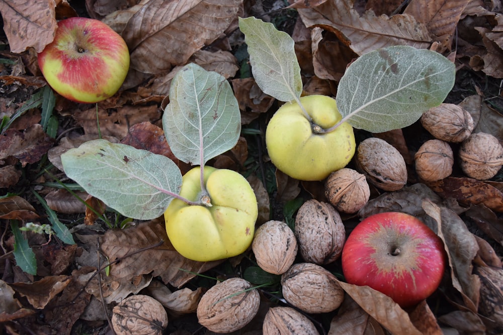 pommes vertes et rouges