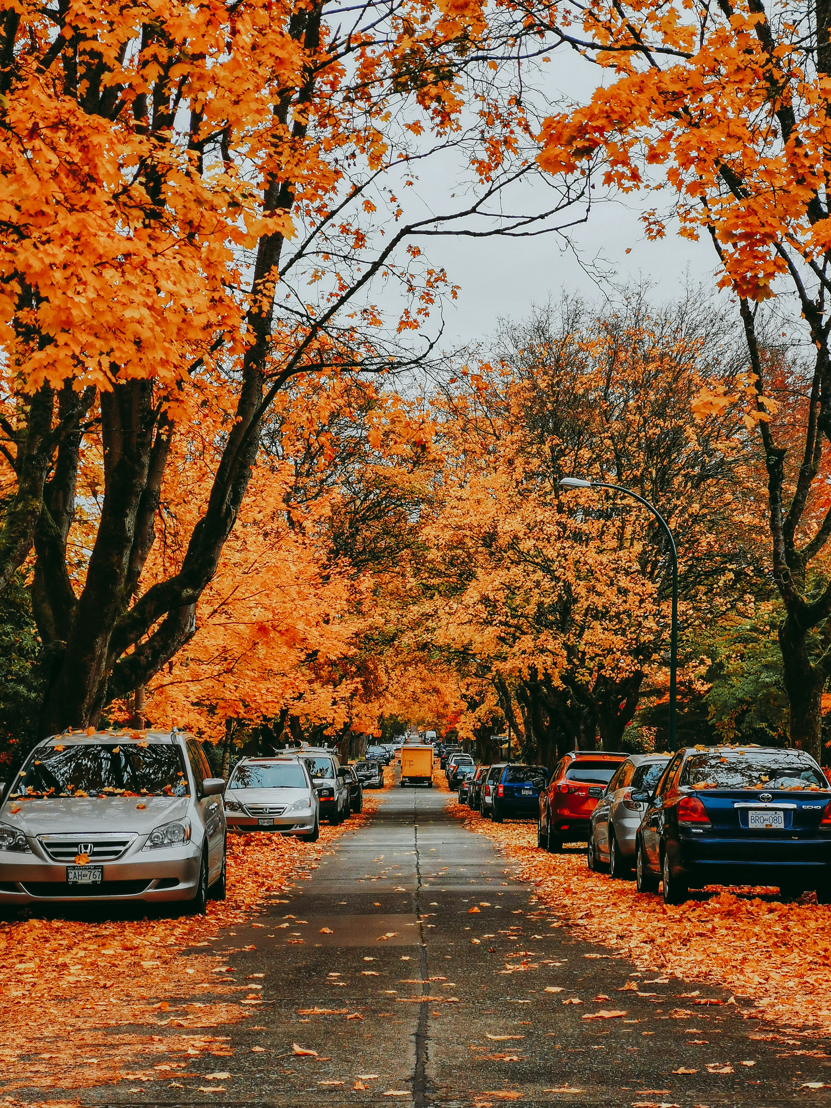 photo of asphalt road