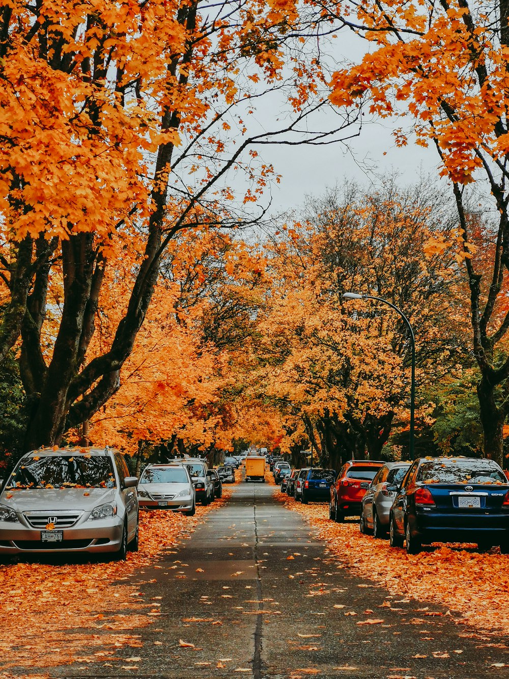 photo of asphalt road