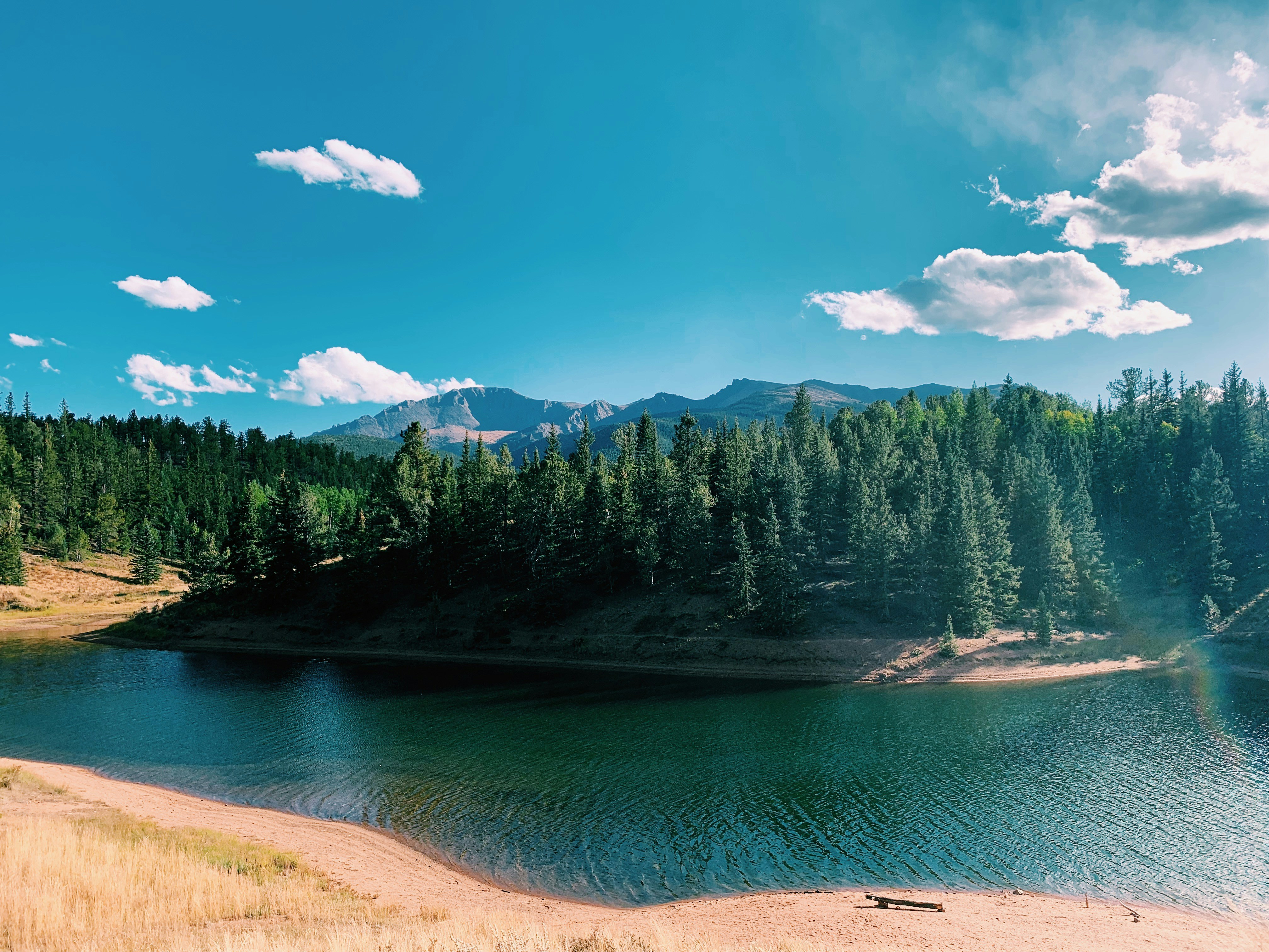 Photo by cami_williams