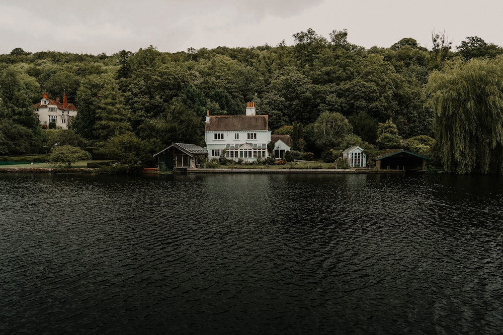 cabin in forest