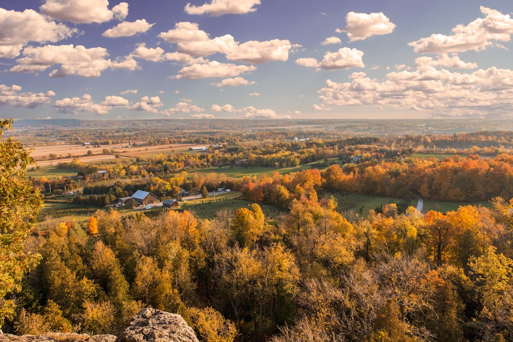 top view of trees under blue cloudy sky